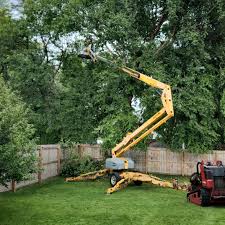 Trusted Eureka, IL Tree Services Experts